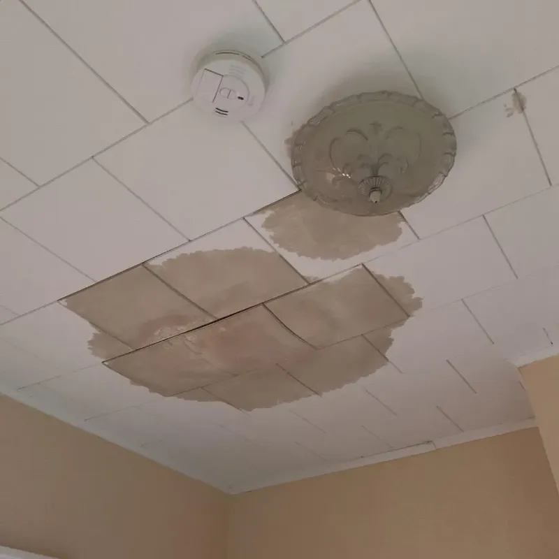 Ceiling Water Damage Repair in Hamblen County, TN