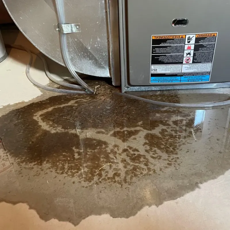 Pipe Burst and Leak Restoration in Hamblen County, TN