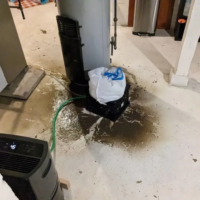 Sewage Backup Cleanup Service in Hamblen County, TN